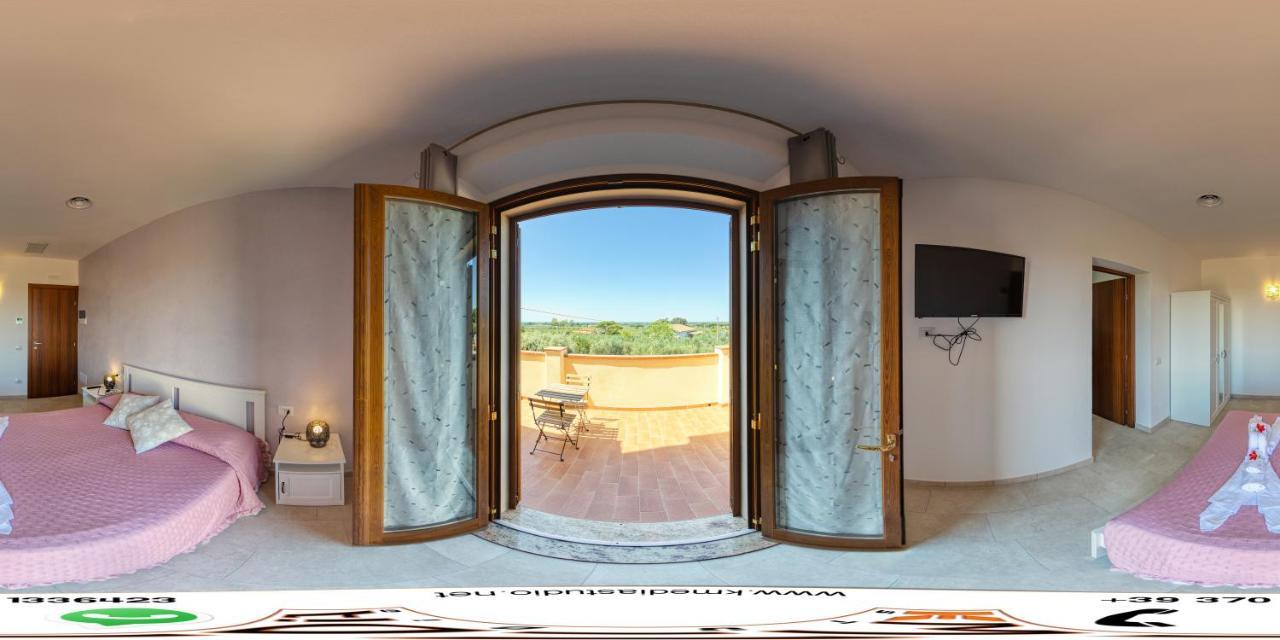 Il Vecchio Olivo Castagneto Carducci