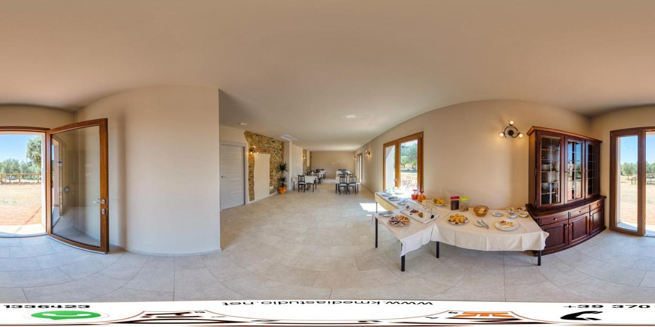 Il Vecchio Olivo Farm stay