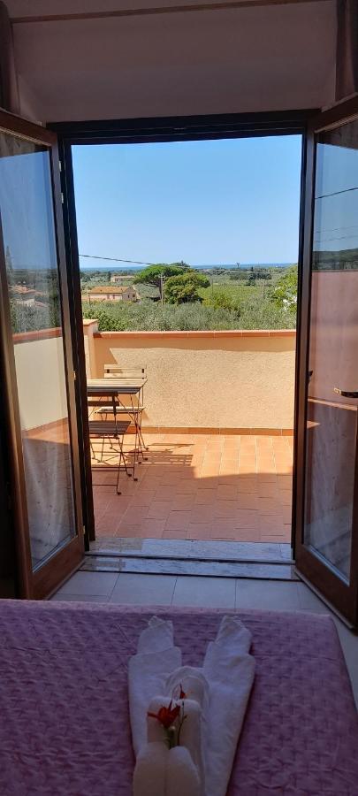 Farm stay Il Vecchio Olivo