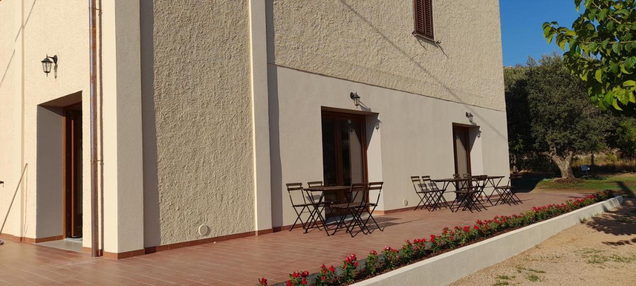 Il Vecchio Olivo * Castagneto Carducci