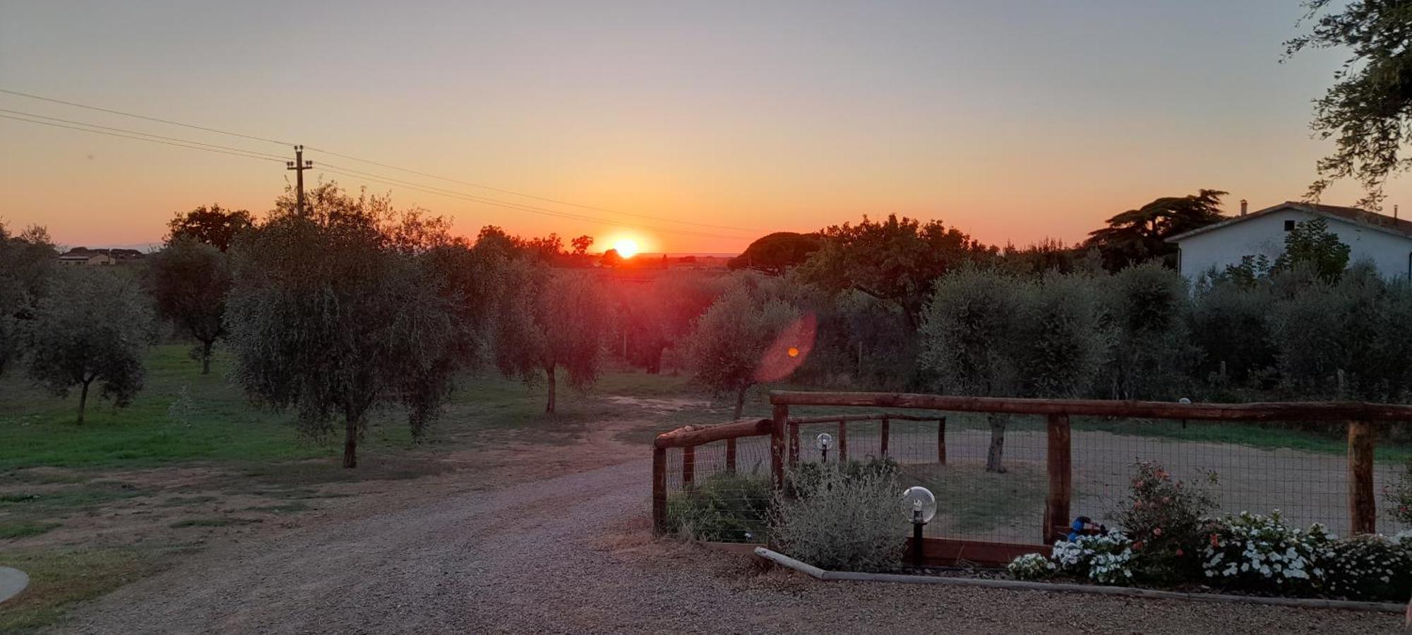 Farm stay Il Vecchio Olivo Castagneto Carducci
